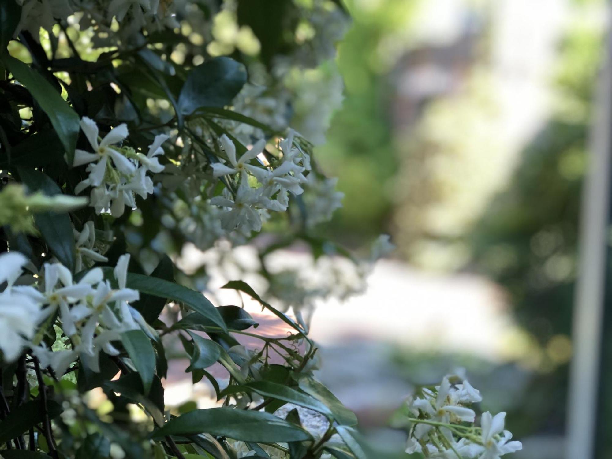Aux Herbes Hautes Fleurbaix Ngoại thất bức ảnh